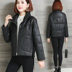  fB[XR[g _ER[g {vU[ R[g v_E h AE^[ V[g U[AE^[ _EWPbg y H~ fB[X _E