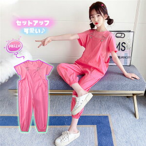 Tybg ̎q LbY   TVc JWA ZbgAbv q Vi ㉺Zbg W[W   2_Zbg 