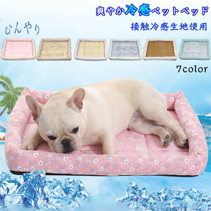 40*31CM ^ p ₽ N[ ڐG⊴  ybgp pxbh 킢 Ђ 􂦂 Ck \t@xbh ˂ Lp  ybgxbh  lR ėp  Lpxbh t 