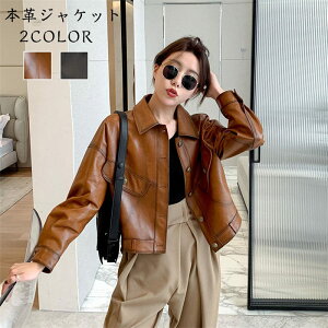 AU[ vR[g   {vWPbg  U[WPbg ܂݃WPbg H~AE^[ ubN V[g