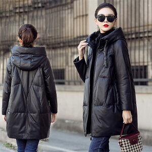 {v  fB[XR[g ~h U[R[g ~fBA_EWPbg U[R[g _ER[g fB[XAE^[ rvR[g AE^[ _E ~fBA t[h