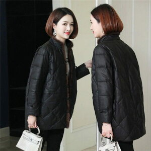 AE^[ _ER[g rvR[g {v _EWPbg _E U[R[g  fB[XR[g ~h U[R[g fB[XAE^[