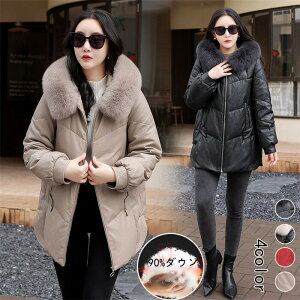 rvR[g fB[X tHbNXt@[ _EWPbg fB[XR[g {v U[R[g ~h fB[XAE^[ ~h U[R[g AE^[ t[ht _ER[g