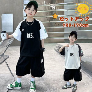 ZbgAbv j̎q ؍q pc j̎q Vi q TVc  Rbg xr[ LbY ㉺Zbg ʉ  2_Zbg j ʊw W[W 