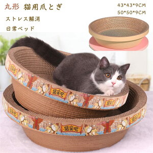 XgX lC Lxbh L Lp܂Ƃ  XNb`[   ybgxbh L܂Ƃ ی` i{[  _{[ ܖ