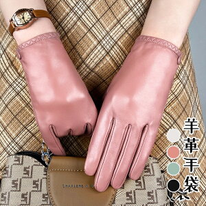 yԌ10OFFzyX}zΉz fB[X v O[u U[ v {v Ԃ  w ۉ U[O[u {vO[u 킢 p U[ g h 