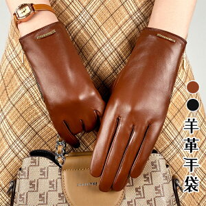 yԌ10OFFzyX}zΉz fB[X v O[u U[ v {v Ԃ  w ۉ U[O[u {vO[u 킢 p U[ g h 