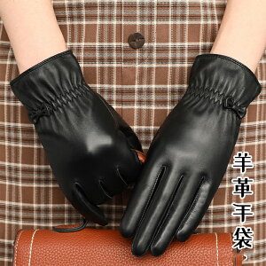 yX}zΉz fB[X v O[u U[ v {v Ԃ  w ۉ U[O[u {vO[u 킢 p U[ g h  {v U[ H~ 