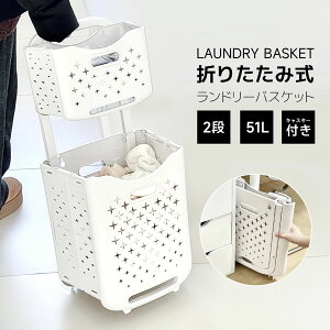 DIY bN 2i 󂩂 Eߏ  [ LX^[t  Vv X k e zCg