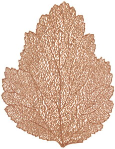 ؃mt}bg@uY@50312240 Ɩp HX