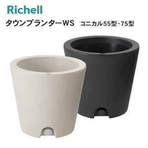 yE@lz^Ev^[WS RjJ55^ 75^   ^ Vv b`F Richell  v^[ K[fjO Aؔ