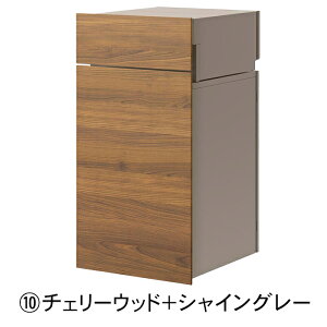 y [J[CΉLzLIXIL {bNXZbgKNiߍ݁j |Xg z{bNX KN  ߍ ̌^ ˌ ˌ ˌėp V  Vv ؖ GNX|X