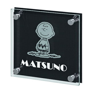 yz@Xk[s[@KX\D SPSGM-A-2ij@ SNOOPY KX TC \D Vz ێO^JM \D@ 