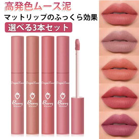 3本セット 高発色ムース泥 リップティント マットリップ 高発色 ウォータープルーフ 口紅 保湿力 色長持ち 色づき 密着感 潤いして軽やかなマット感 落ちない リップグロス ティント マットティント 泥リップ 赤リップ 中国コスメ プチプラ