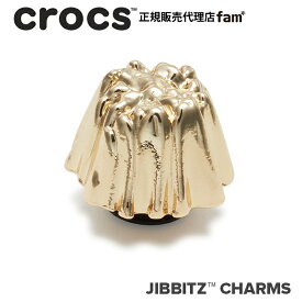クロックス アクセサリー【jibbitz ジビッツ】NATURE2//Chromatic Mountain/クロマティック マウンテン｜10013842