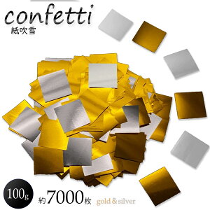  RtFbeB  LL S[hVo[ 100g 7000  t Ɩp ݂ӂԂ