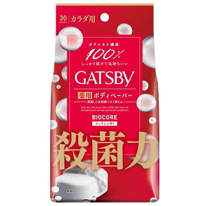 Mcr[ oCIRAfIhg{fBy[p[ NAV{ 30 p^Cv GATSBY {fBV[g @