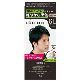 ルシード ワンプッシュケアカラー ライトブラック 無香料 LUCIDO 白髪用 ヘアカラー【スーパーセール】