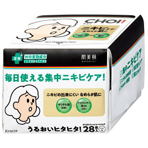  CHOI p}XN jLrPA 28 tFCX}XN pbN