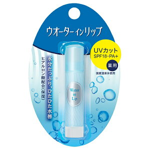 �E�H�[�^�[�C�����b�v ��p�X�e�B�b�NUV f 3.5g ���b�v�X�e�B�b�N�y���[���։z