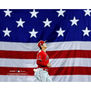 �y�����O�b�Y�zMLB �G���[���X ��J �ĕ� �R���N�^�u���t�H�g Fanatics Authentic/�t�@�i�e�B�N�X�I�[�Z���e�B�b�N (UNS BB PHOTO 842022 - 42)