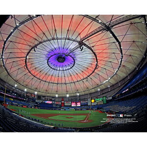 �y�����O�b�Y�zMLB ���C�Y �R���N�^�u���t�H�g Fanatics Authentic/�t�@�i�e�B�N�X�I�[�Z���e�B�b�N (MLB Stadium Photo 31 32621)