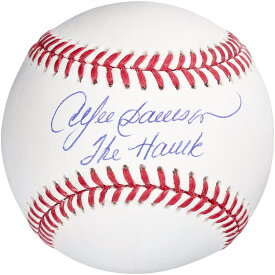 MLB スペシャルアイテム アンドレ・ドーソン 直筆サイン ボール Fanatics（ファナティクス） ホワイト (Aut Baseball MLB)