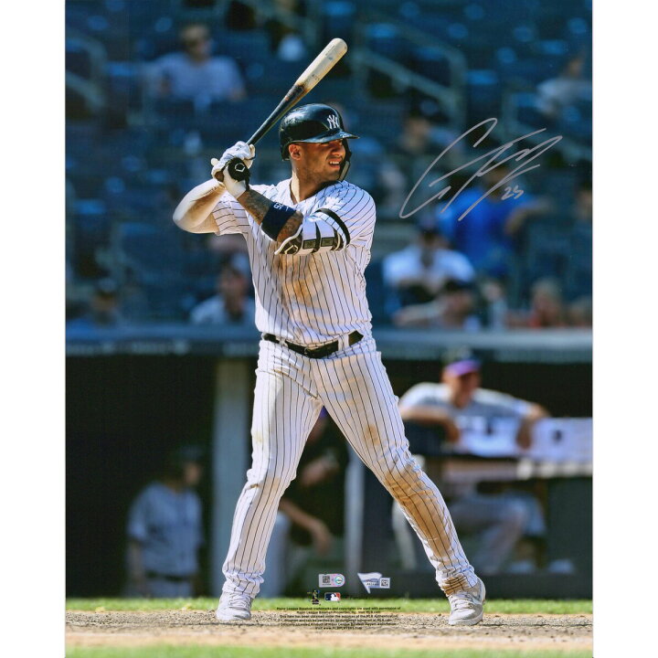 楽天市場】【MLB公式ホログラム付】MLB ヤンキース グレイバー 