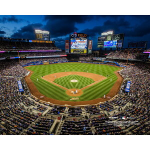 �y�����O�b�Y�zMLB ���b�c �R���N�^�u���t�H�g Fanatics Authentic/�t�@�i�e�B�N�X�I�[�Z���e�B�b�N (MLB Stadium Photo 50 32621)