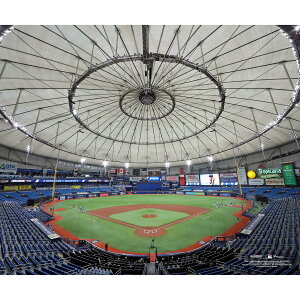 �y�����O�b�Y�zMLB ���C�Y �R���N�^�u���t�H�g Fanatics Authentic/�t�@�i�e�B�N�X�I�[�Z���e�B�b�N (MLB Stadium Photo 29 32621)