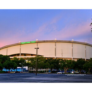 �y�����O�b�Y�zMLB ���C�Y �R���N�^�u���t�H�g Fanatics Authentic/�t�@�i�e�B�N�X�I�[�Z���e�B�b�N (MLB Stadium Photo 30 32621)