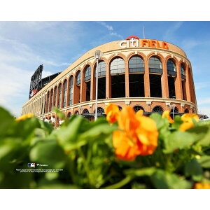 �y�����O�b�Y�zMLB ���b�c �R���N�^�u���t�H�g Fanatics Authentic/�t�@�i�e�B�N�X�I�[�Z���e�B�b�N (MLB Stadium Photo 48 32621)