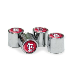 yObYzMLB J[WiX J[piEJ[ANZT[ WinCraft (WCR Valve Stem Covers)