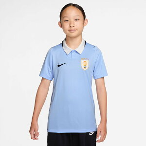 �y�����O�b�Y�zNATIONAL TEAM �E���O�A�C��\ �z�[�� ���j�t�H�[�� �i���v���J�j Nike/�i�C�L ���[�X�E�W���j�A�T�C�Y �u���[ (NIK SU26 Youth Stadium Replica Jersey)