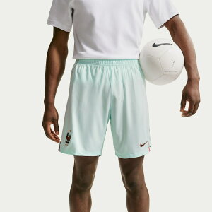�y�����O�b�Y�zNATIONAL TEAM �t�����X��\ �T�b�J�[ �V���[�c Nike/�i�C�L �����Y �O���[�� (NIK SU26 Men's Dri-Fit Stadium Replica Short)