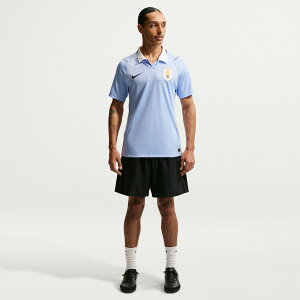 �y�����O�b�Y�zNATIONAL TEAM �E���O�A�C��\ �z�[�� ���j�t�H�[�� �i���v���J�j Nike/�i�C�L �����Y �u���[ (NIK SU26 Men's Stadium Replica Jersey)