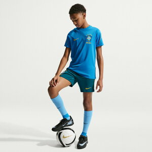�y�����O�b�Y�zNATIONAL TEAM �u���W����\ T�V���c Nike/�i�C�L ���[�X�E�W���j�A�T�C�Y �u���[ (NIK SU26 Youth Dri-Fit Strike SS Top)