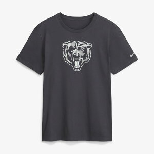 �y�����O�b�Y�zNFL �x�A�[�Y T�V���c Nike/�i�C�L �����Y �A���X���T�C�g (Men's Nike Anthracite Fractal Logo SS Cotton T-shirt)