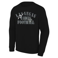 【公式グッズ】NFL レイダース トレーナー Fanatics/ファナティクス メンズ ブラック (MENS B&T FANATICS…