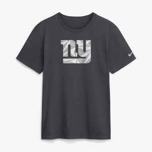 Men's Nike Anthracite New York Giants Fractal Logo T-Shirt