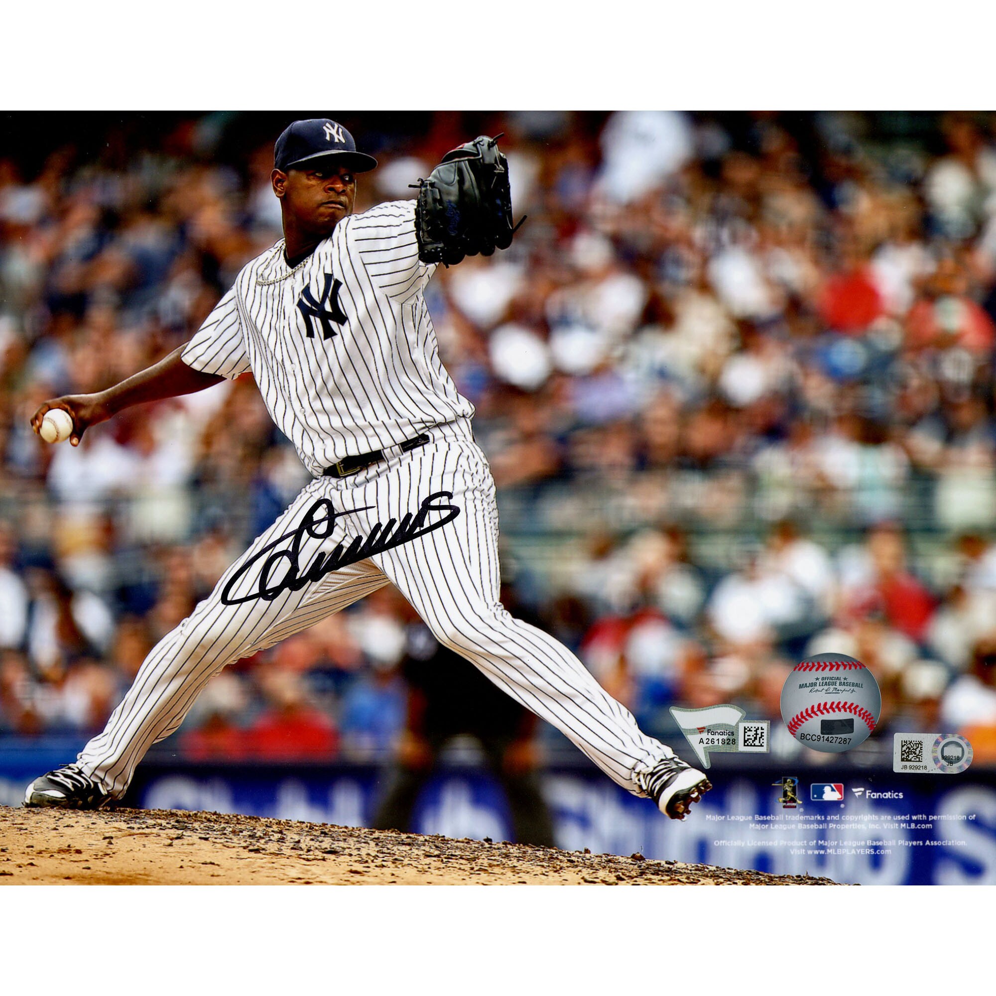 MLB ヤンキース ルイス・セベリーノ 直筆サイン フォト Fanatics ファナティクス オーセンティック (8x10 Aut Photo MLB)