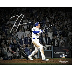 Freddie Freeman Los Angeles Dodgers Autographed 16" x 20" 2025 World Series Game 3 Walk-Off Home Run Spotlight Photograph