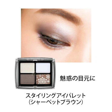 限定メイク スノーコレクション ファンケル 公式 Fancl 送料無料 クリスマスコフレ ギフト プレゼント リップ チーク アイシャドウ セット コフレセット Room 欲しい に出会える