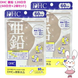 【賞味期限2029年1月】DHC 亜鉛 120日分 (60日分×2袋セット）サプリメント ハードカプセル 健康食品 健康サプリ 美容サプリ 味覚 男性パワー ディーエイチシー