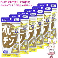 【賞味期限2029年3月・6個セット】DHC オルニチン 120日分 20日分×6個セット サプリメント 健康食品 健…