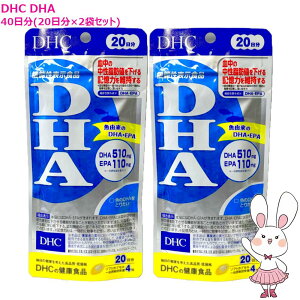 �y�������K�i�E2�Z�b�g�E�ܖ�����2028�N7���ȍ~�zDHC DHA 40���i20����×2�܃Z�b�g) DHC�T�v�������g ���N