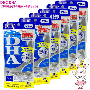 �y�������K�i�E6�Z�b�g�E�ܖ�����2028�N7���ȍ~�zDHC DHA 120���i20����×6�܃Z�b�g) DHC�T�v�������g ���N