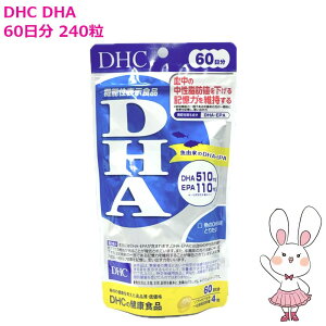 �y�������K�i�E�ܖ�����2027�N7���ȍ~�zDHC DHA 60���� 240������ DHC�T�v�������g ���N