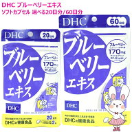 【賞味期限2029年2月】DHC ブルーベリーエキス 20日分 40粒 60日分 120粒 サプリメント 健康食品 栄養機…