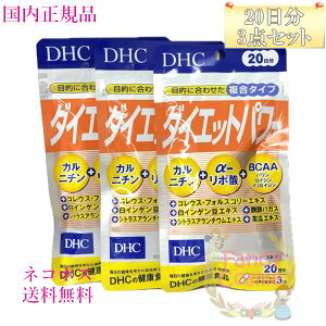 DHC ダイエットパワー 60日分 (20日×3袋) 賞味期限2028年以降 健康食品【国内正規品・ネコポス送料無料(ポスト投函)】